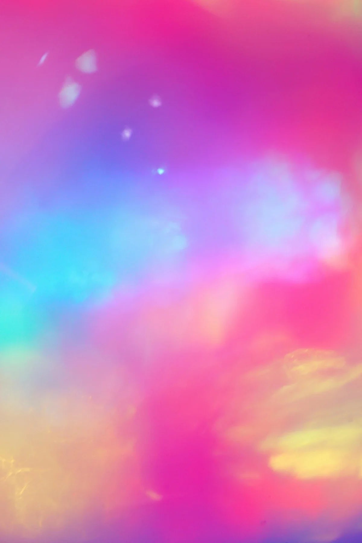  Canvas & Curio