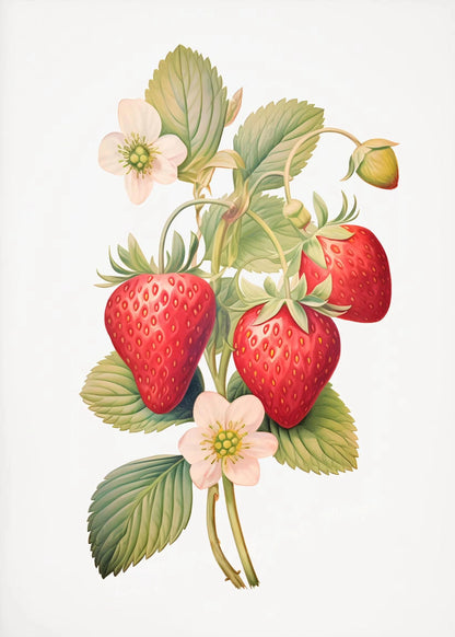 Illustration of strawberries with green leaves and pink flowers on a white background