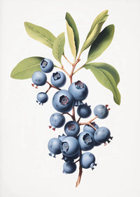 Painting III