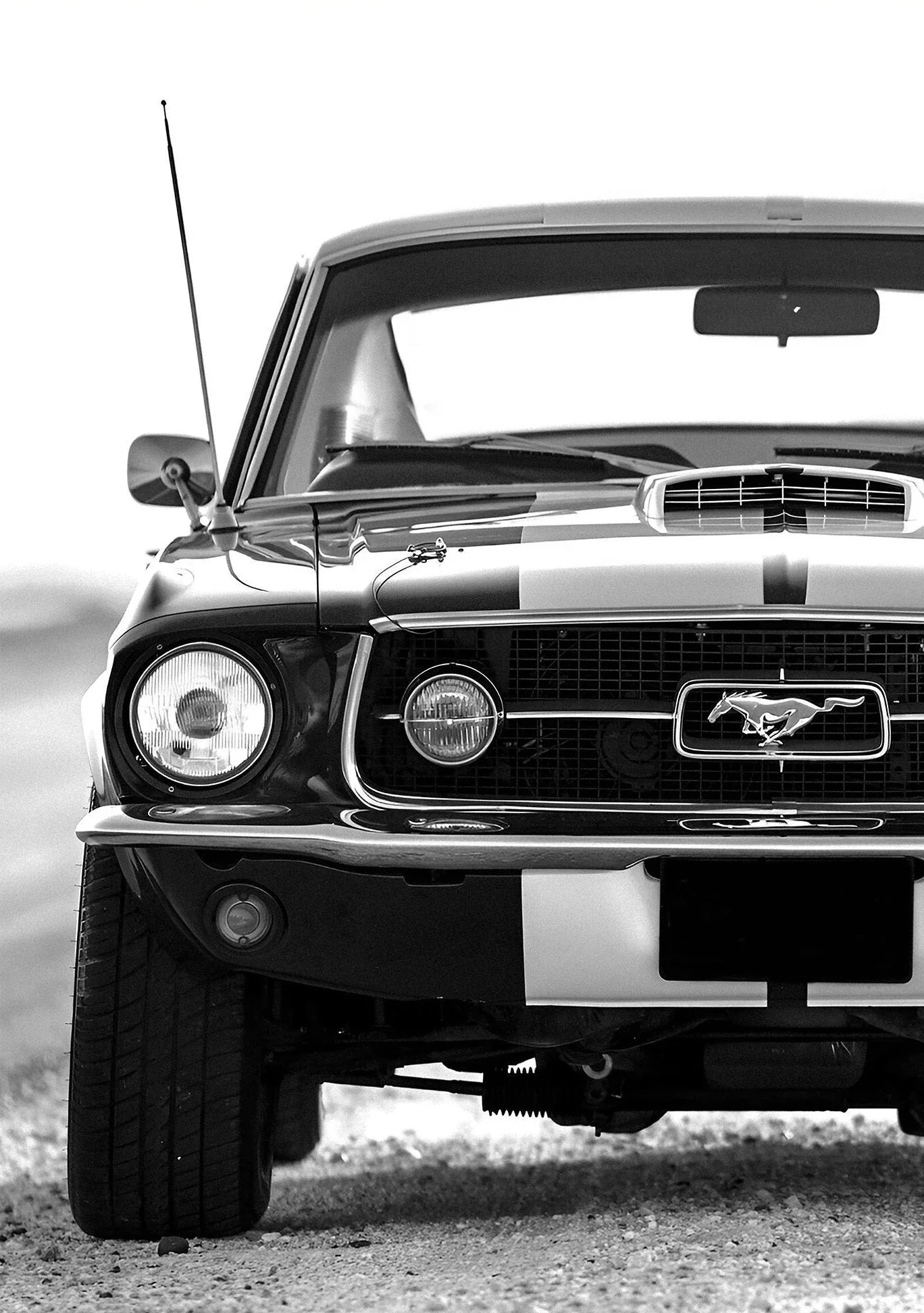 Adrenaline Wall Art Collection - Canvas & Curio