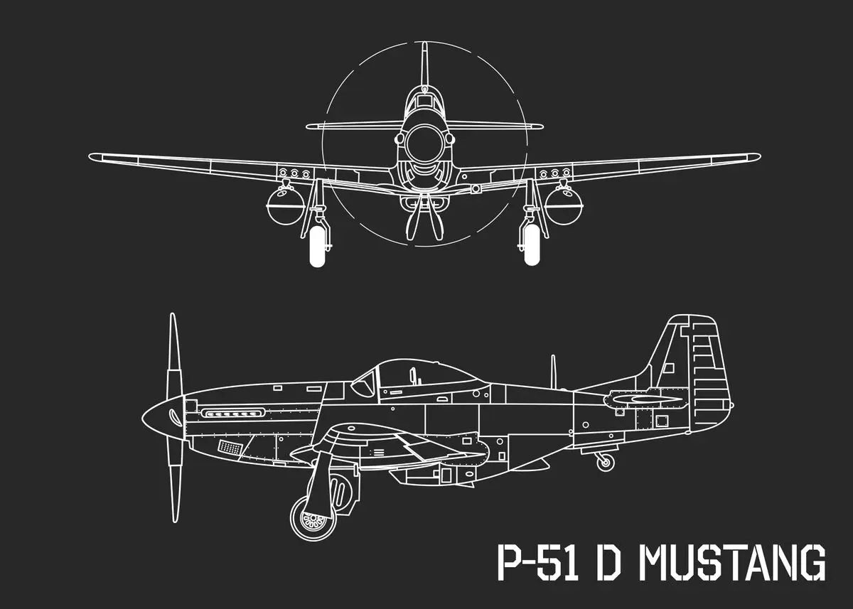 Aircraft Blueprint Collection - Canvas & Curio
