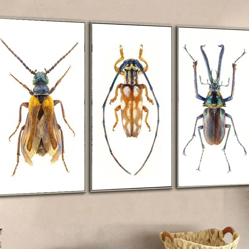Three framed insect artworks on a wall with a plant in the corner.