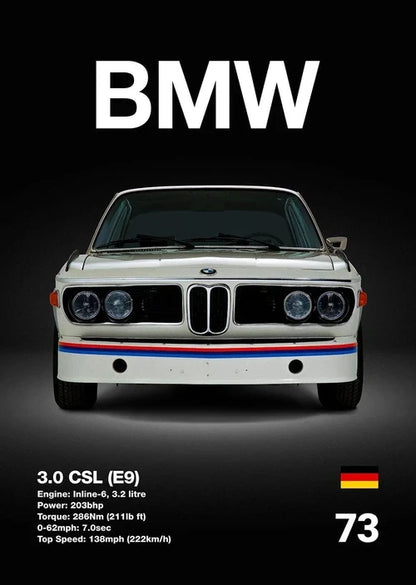 BMW Series Collection - Canvas & Curio