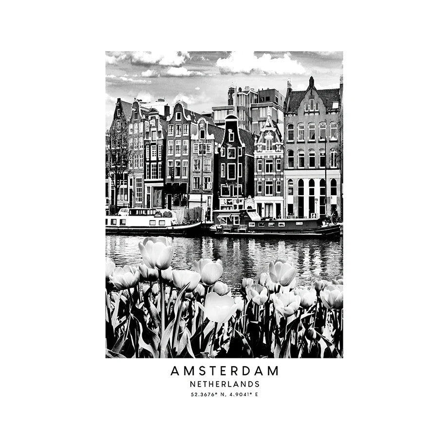 Black and white image of Amsterdam canal houses with tulips in the foreground.