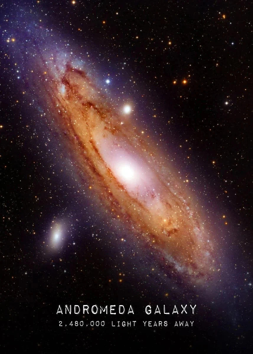 Celestial Wonders Collection - Canvas & Curio