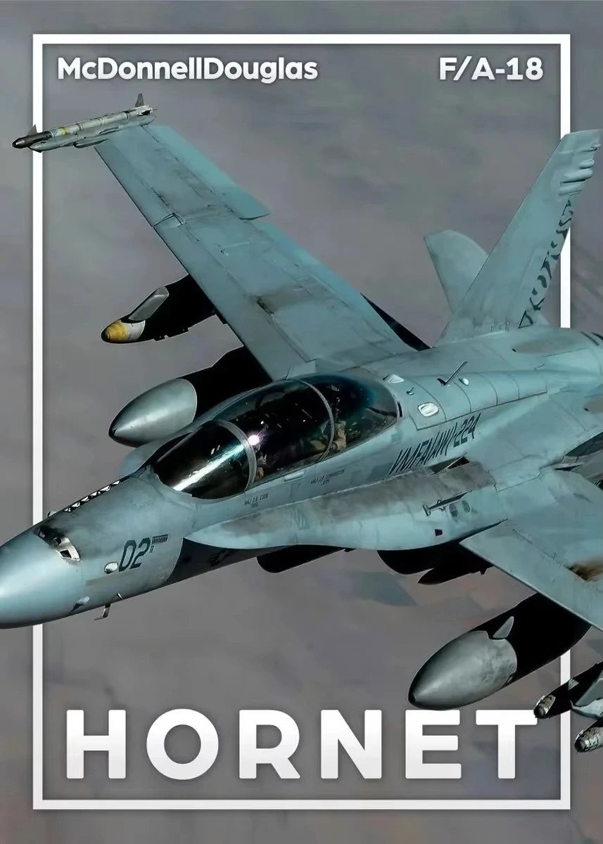 McDonnell Douglas F/A-18 Hornet aircraft in flight with branding and model name displayed.