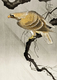 Painting XIX
