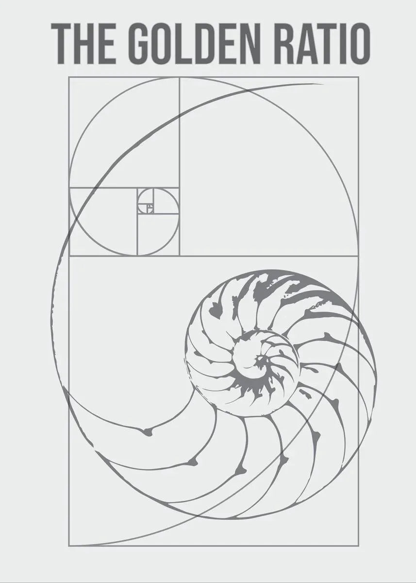 Fibonacci Blueprint Collection - Canvas & Curio
