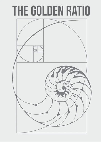 Fibonacci Blueprint Collection - Canvas & Curio
