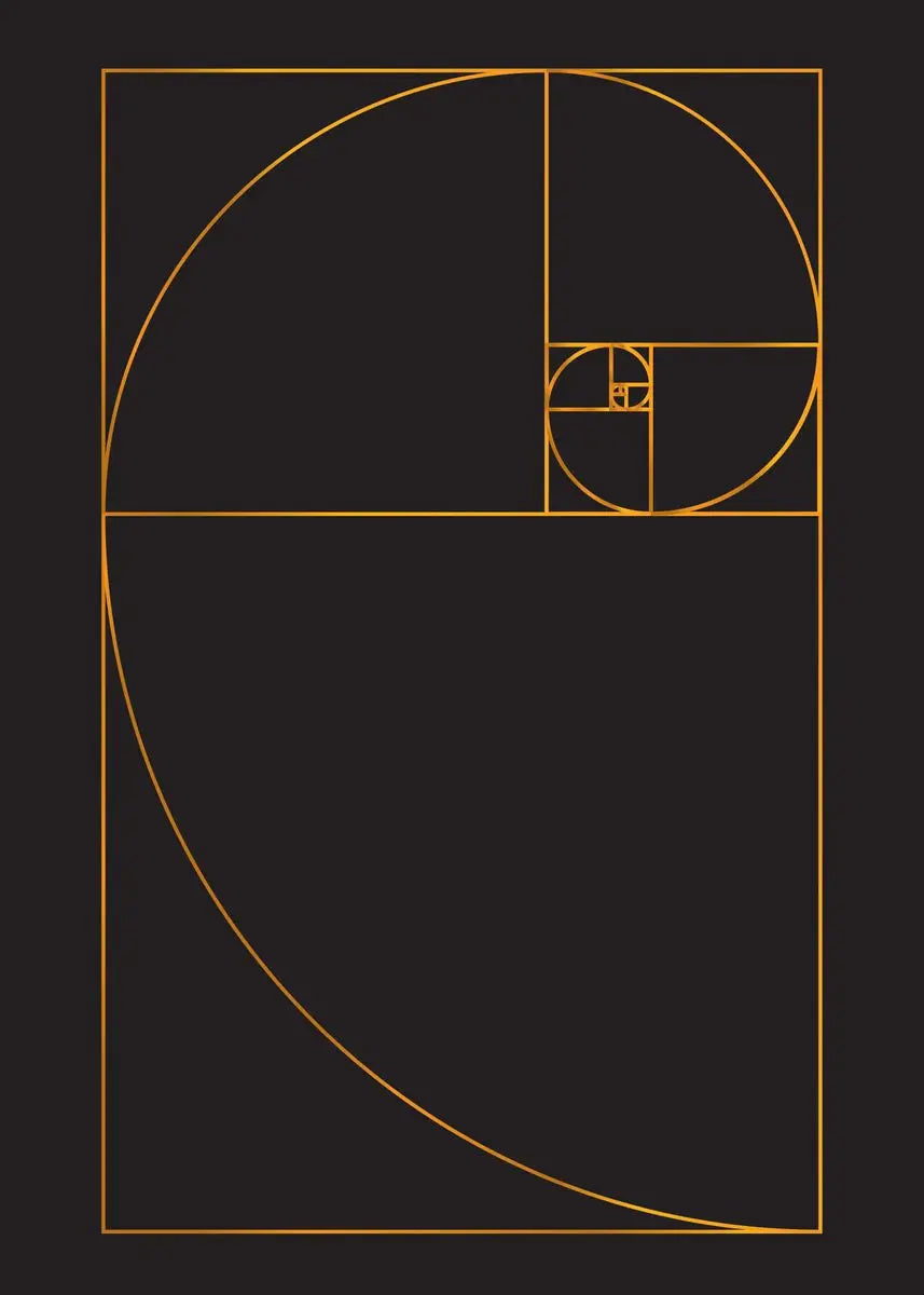 Fibonacci Blueprint Collection - Canvas & Curio