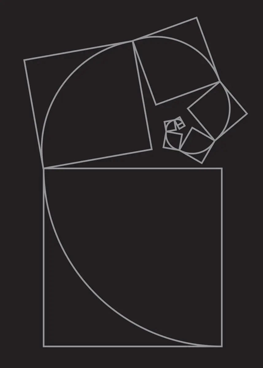 Fibonacci Blueprint Collection - Canvas & Curio
