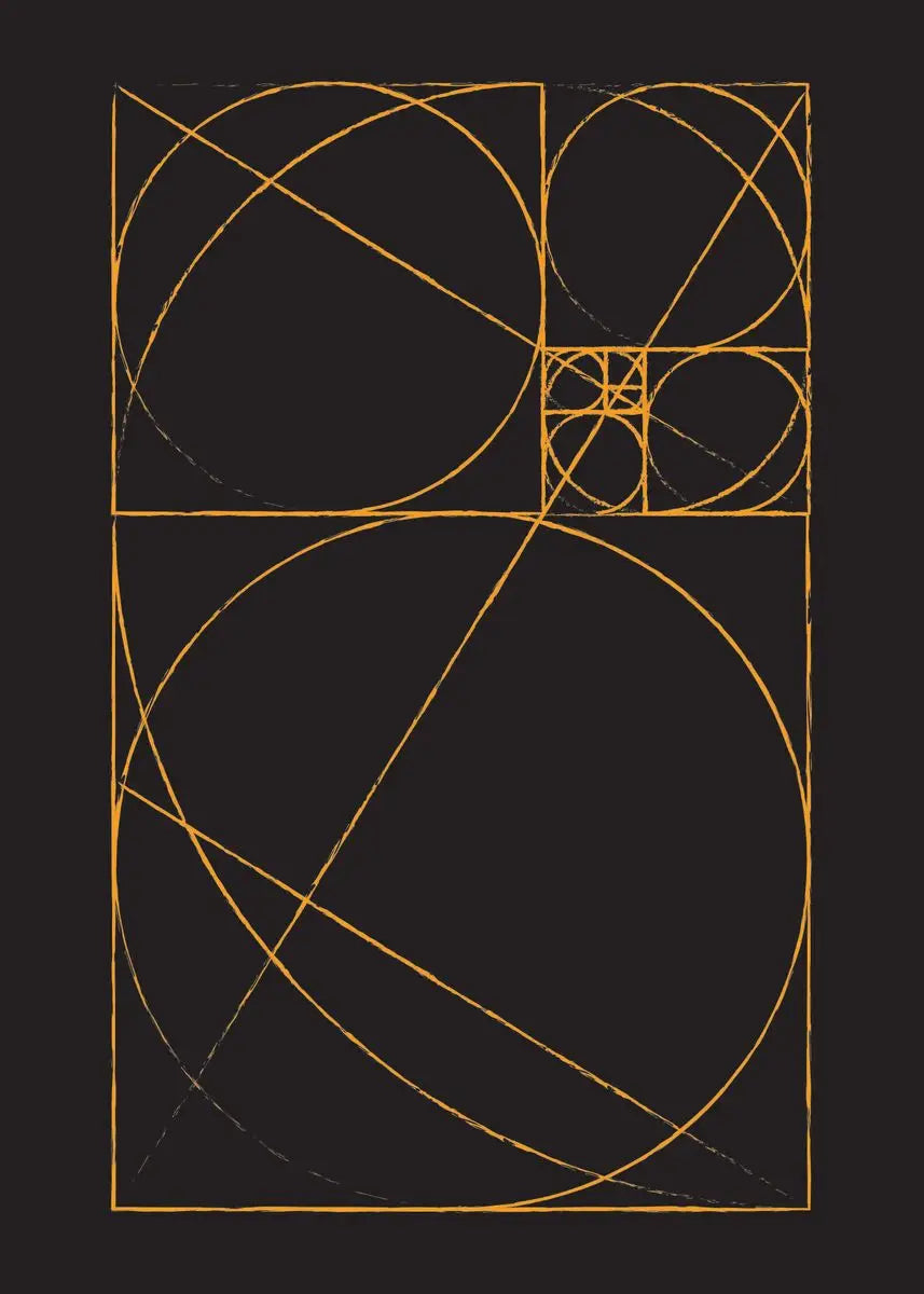 Fibonacci Blueprint Collection - Canvas & Curio