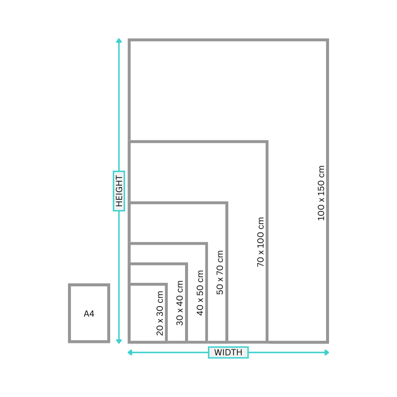 Diagram showing different sizes with dimensions labeled