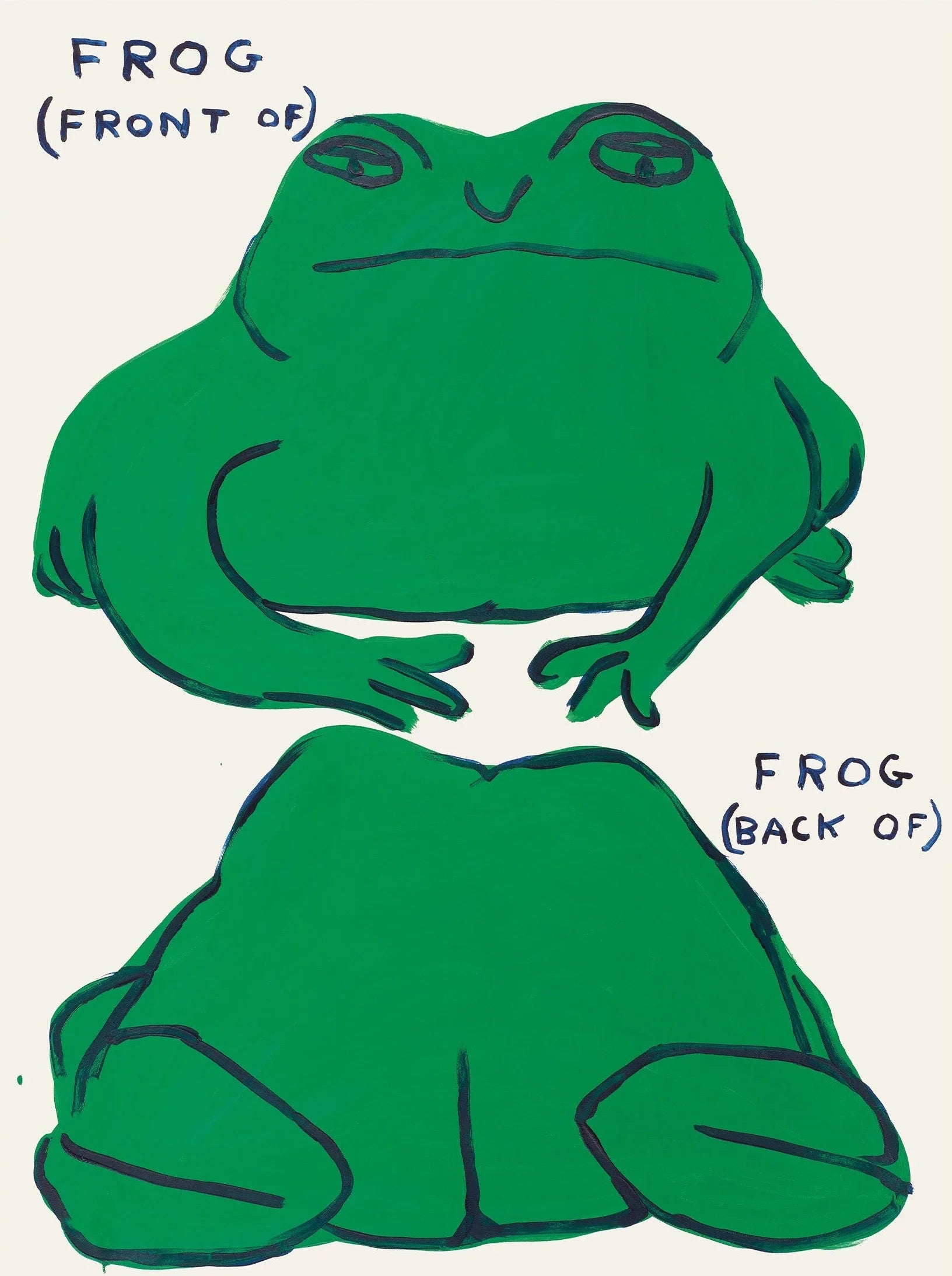 Cartoon illustration of a frog showing front and back views on a white background