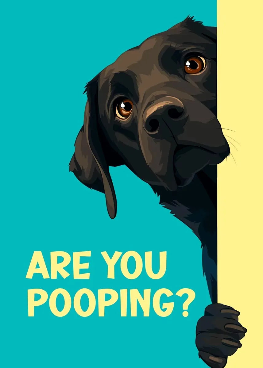Dog peeking around a corner with text 'Are you pooping?' on a blue and yellow background