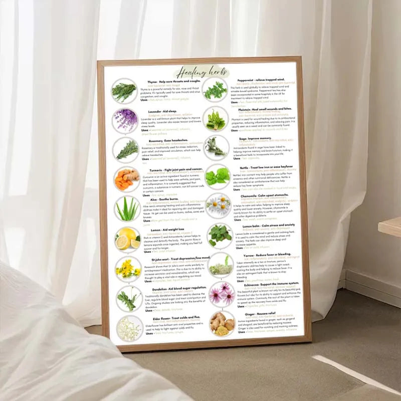 Framed poster with images of herbs and their names on a white curtain background