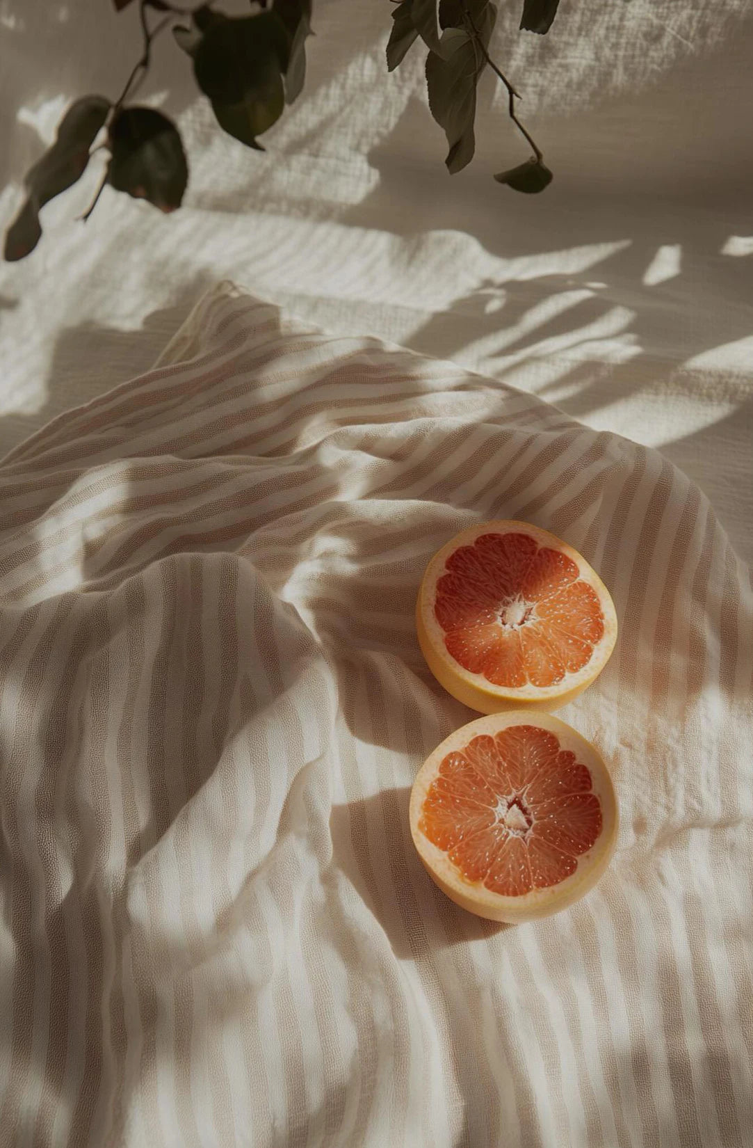 Mediterranean Mood Collection - Canvas & Curio