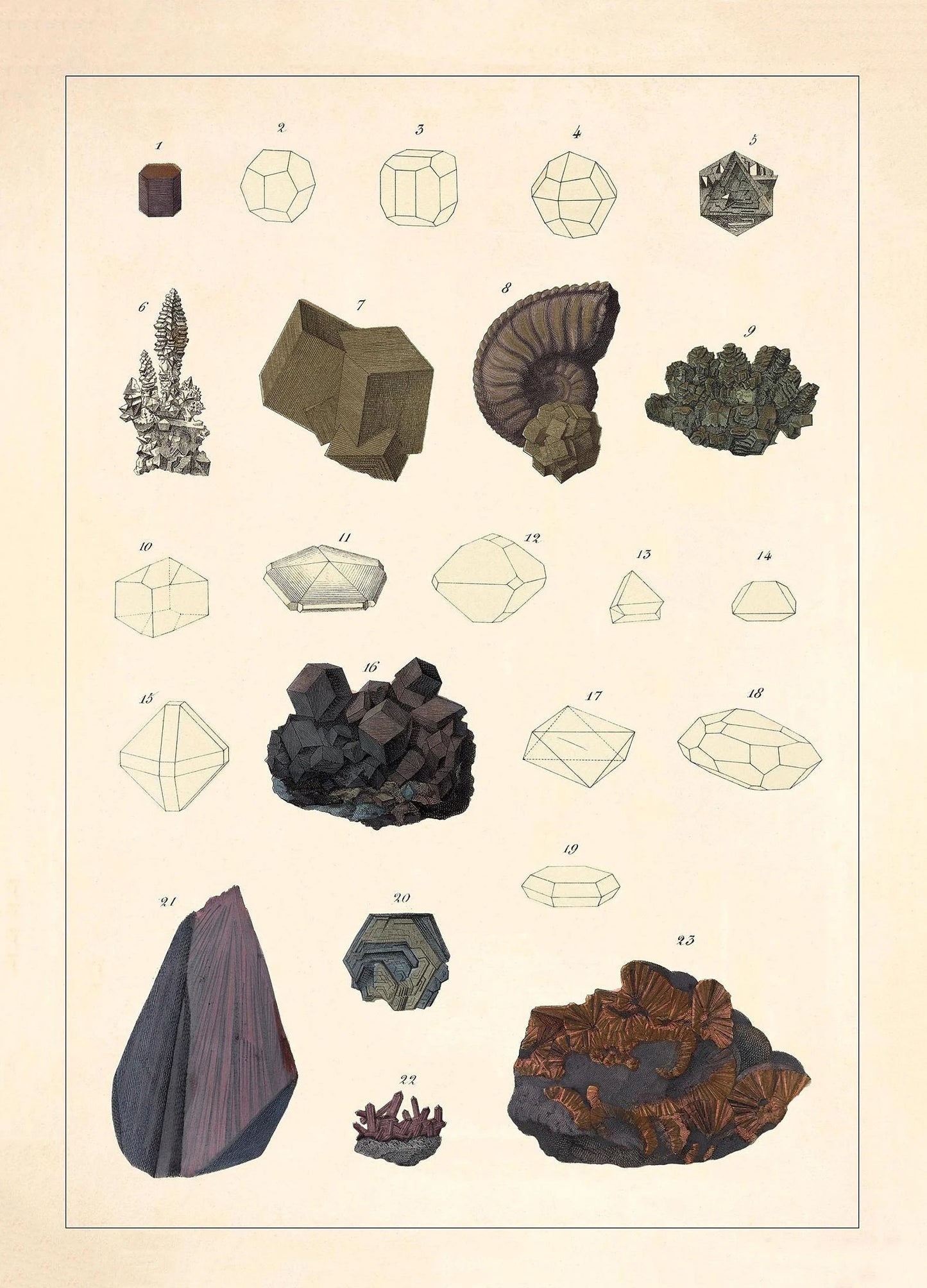 Illustration of various minerals and their crystal forms on a beige background