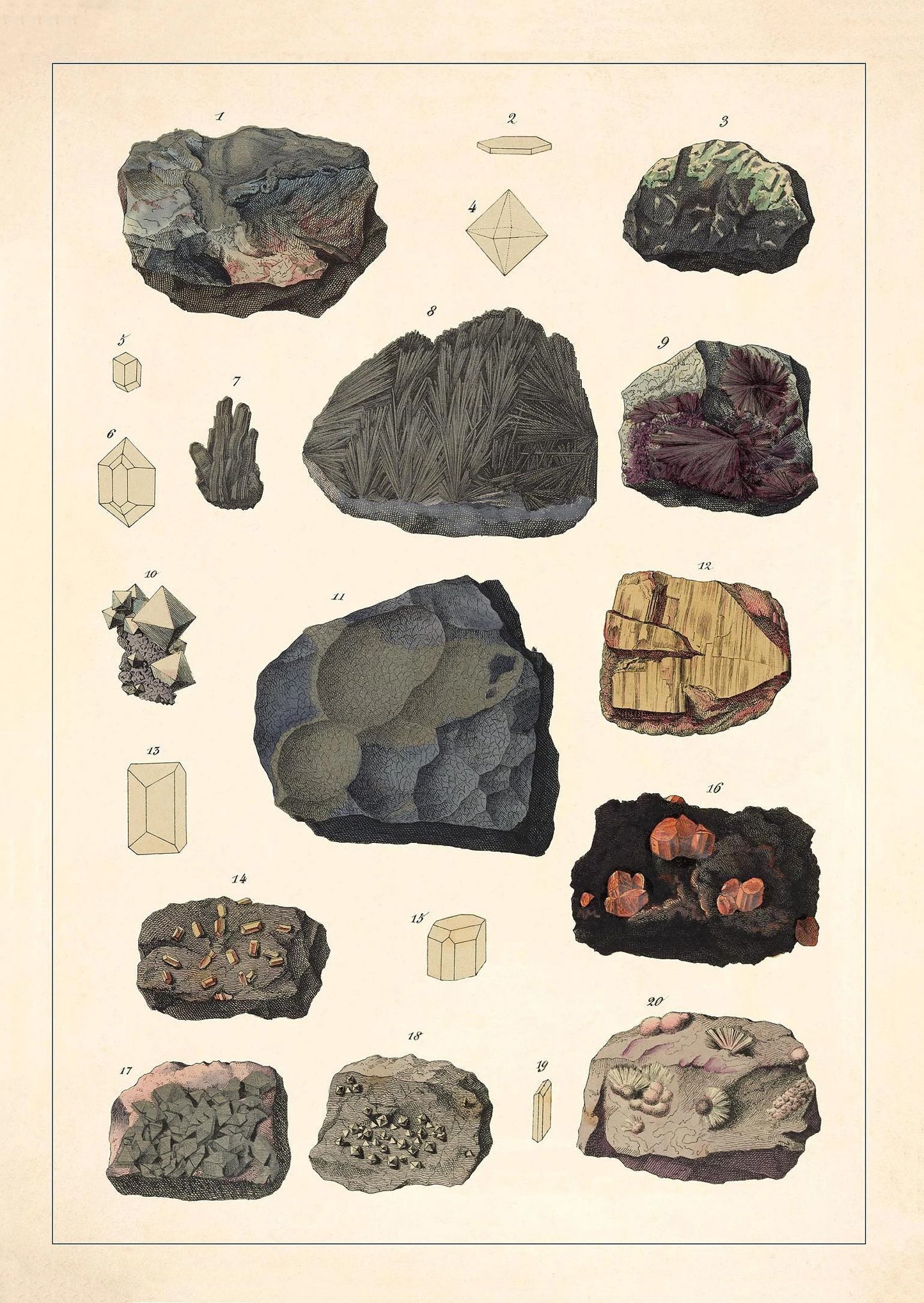 Illustration of various rocks and minerals on a beige background