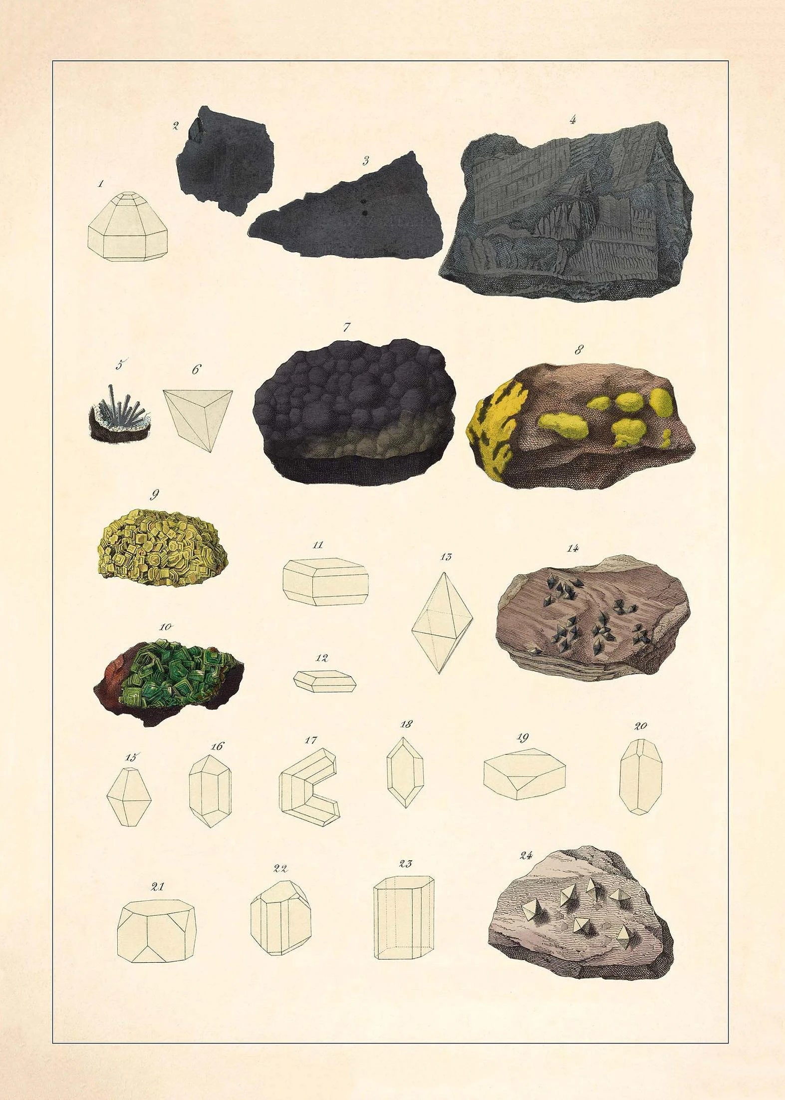 Illustration of various rocks and minerals on a beige background