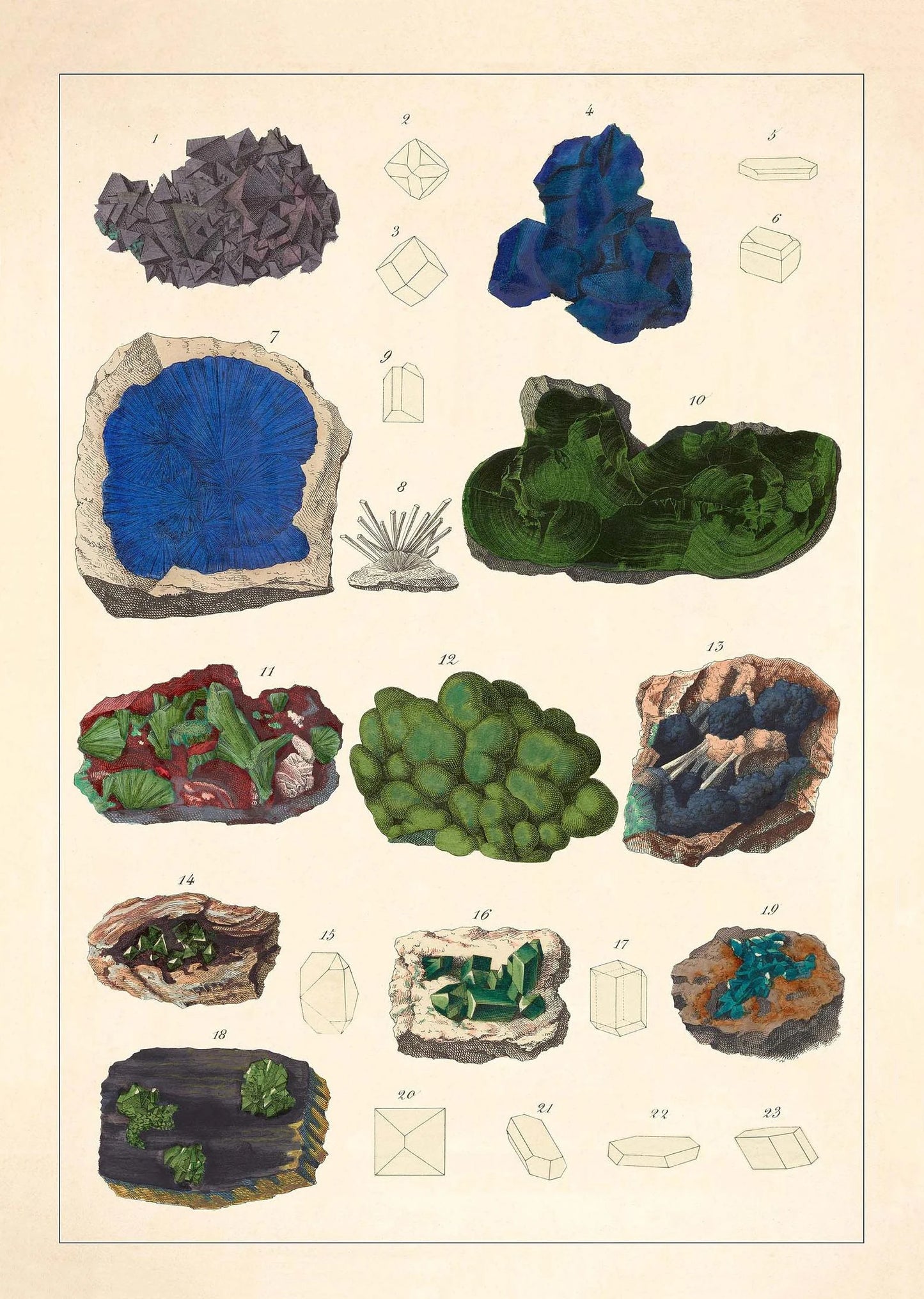 Illustration of various minerals and their cross-sections on a beige background