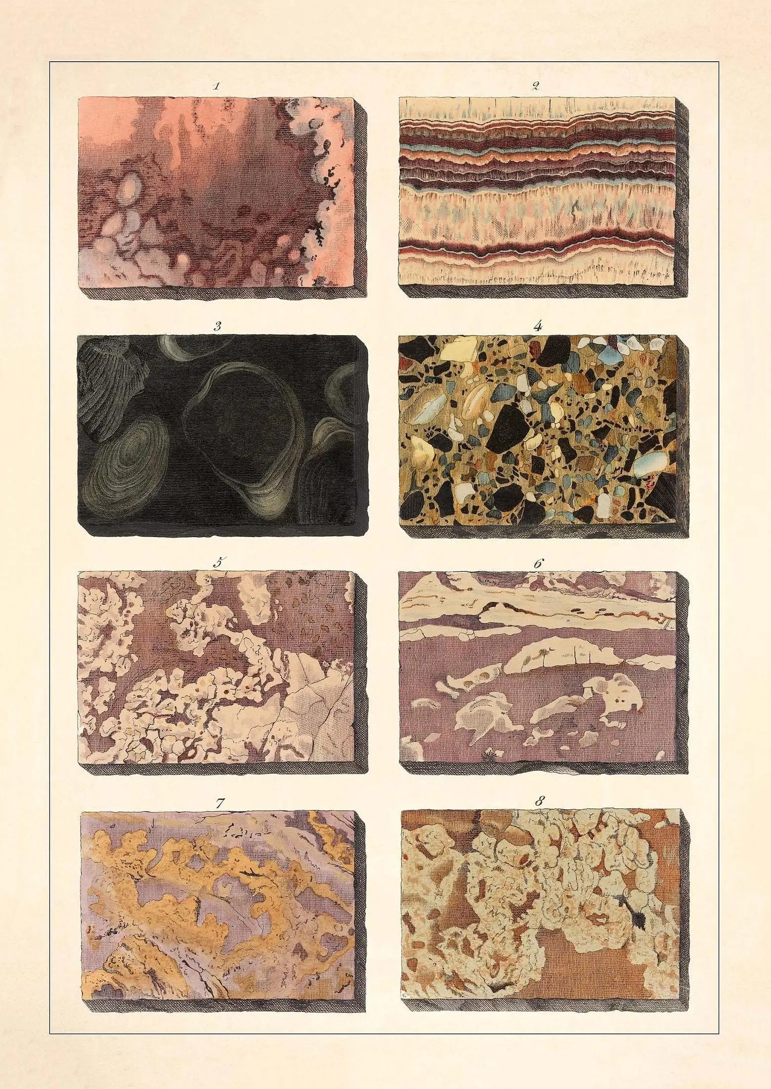 Collection of various rock and mineral samples on a beige background