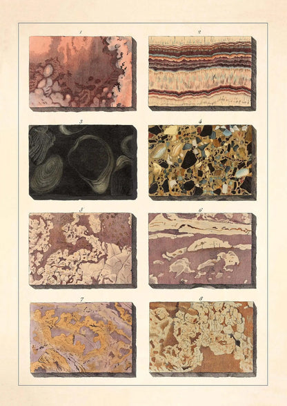 Collection of various rock and mineral samples on a beige background