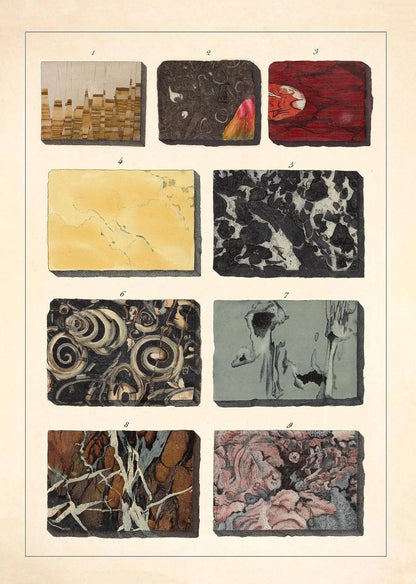 Collection of various stone or mineral samples arranged in a grid on a beige background.