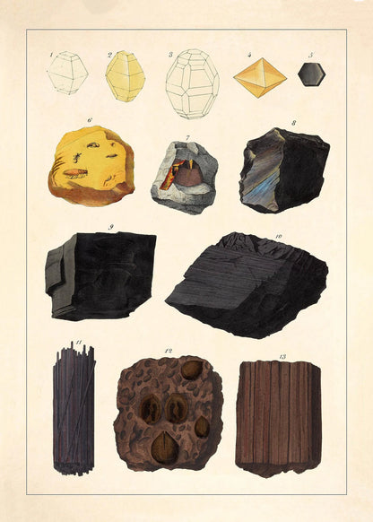 Illustration of various rocks and minerals on a beige background