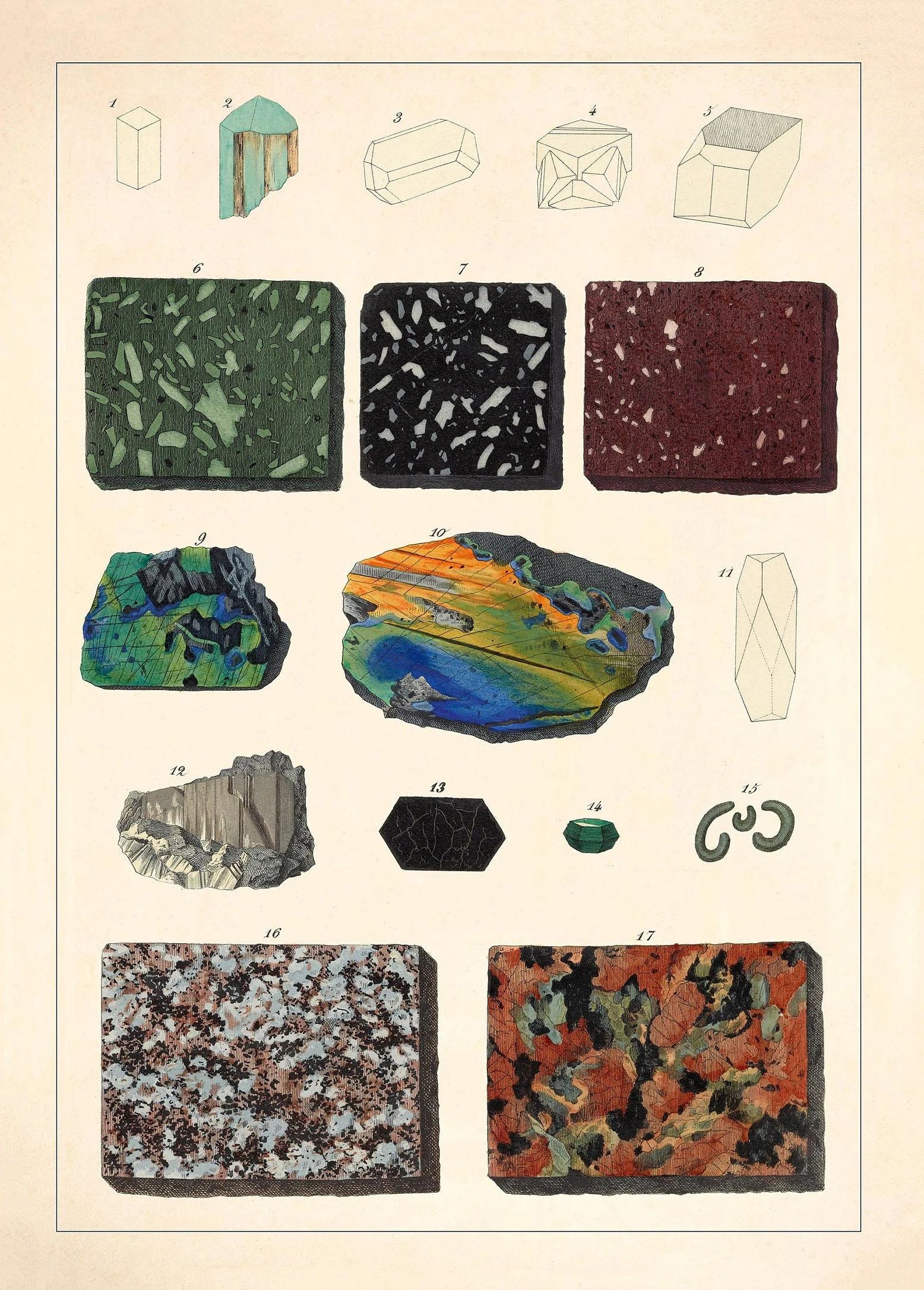 Illustration of various geological samples and cross-sections on a beige background