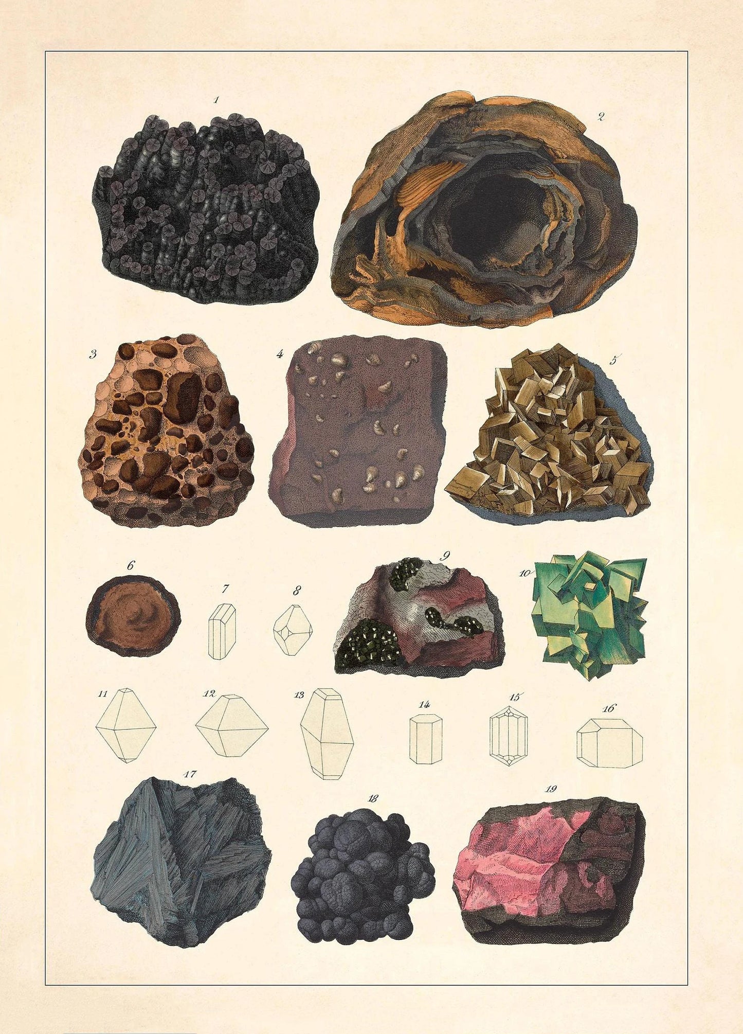Illustrated collection of various rocks and minerals on a beige background