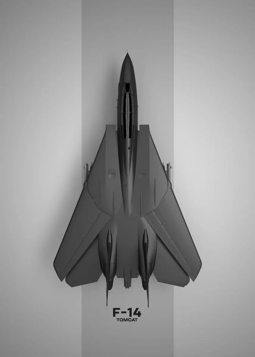 F-14 Tomcat fighter jet model on a gray background