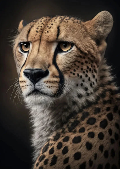 Modern Animals Collection - Canvas & Curio