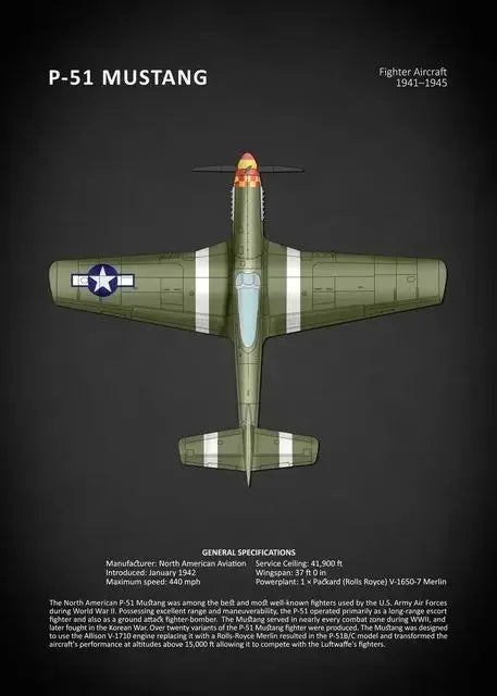 P-51 Mustang fighter aircraft on a dark background with text details.