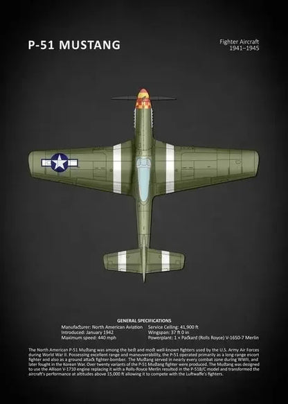 P-51 Mustang fighter aircraft on a dark background with text details.