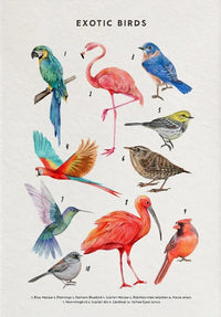 Painting XI