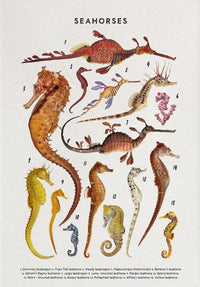 Painting XVIII