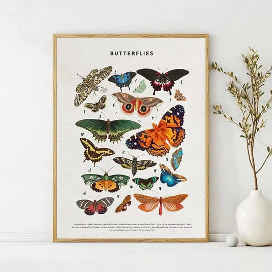 Nature Study Collection - Canvas & Curio Canvas & Curio