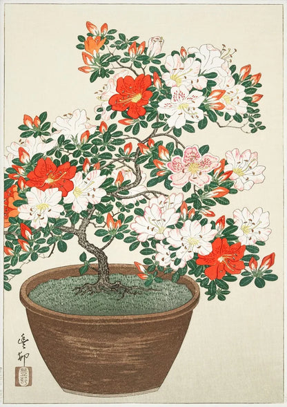 Ohara Koson Collection - Canvas & Curio