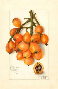 Painting XIV