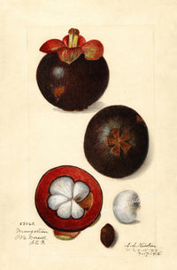 Painting XVIII