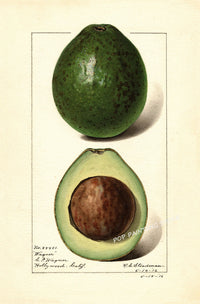 Painting XVII