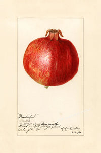Painting XXVII