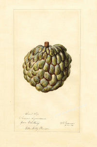 Painting XXVIII