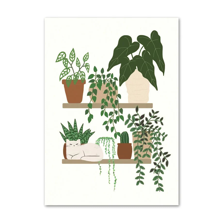 Illustration of potted plants on shelves with a white background