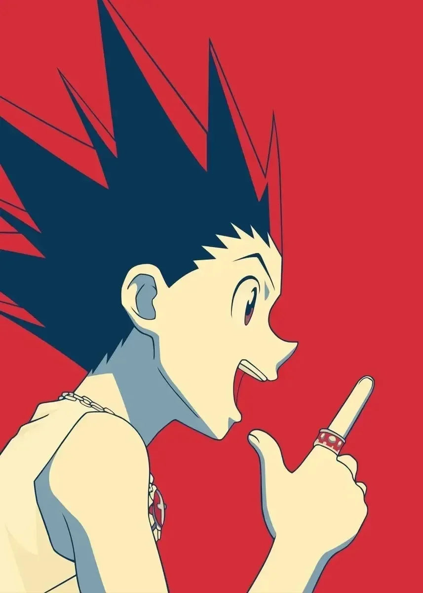 Hunter X Hunter Collection - Canvas & Curio