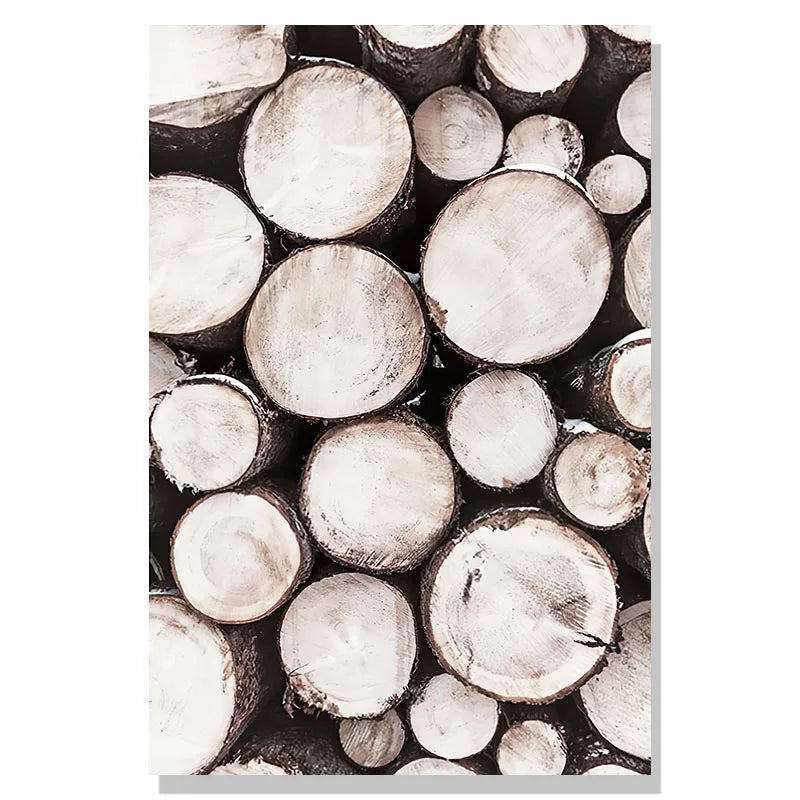 Pattern of circular wooden logs in black and white