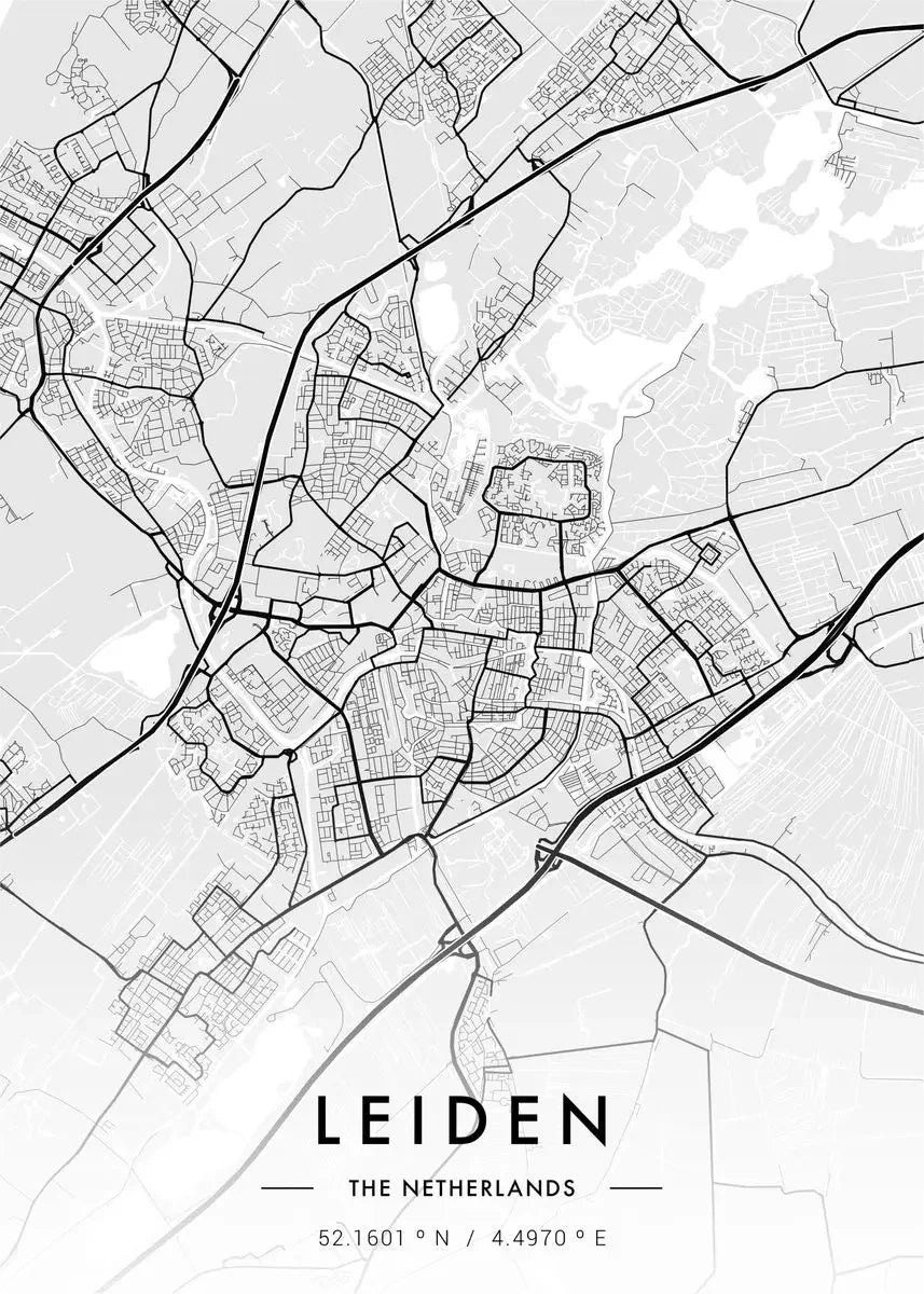 Timeless City Maps Collection - Canvas & Curio