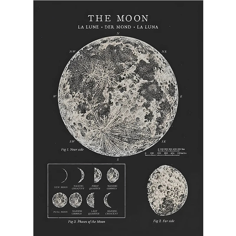 Vintage-style diagram of the moon with lunar surface details and phases on a black background.