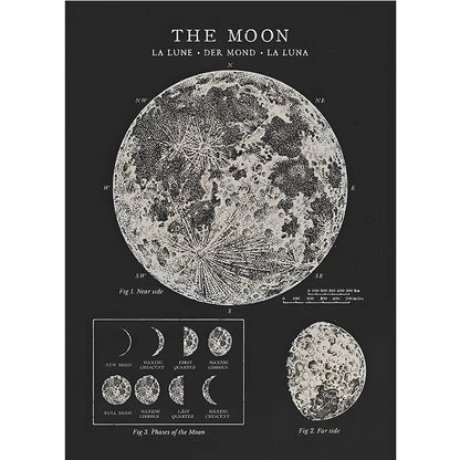 Vintage-style diagram of the moon with lunar surface details and phases on a black background.